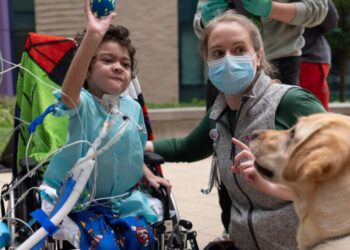 Full-time emotional support dogs are working in more children’s hospitals