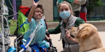 Full-time emotional support dogs are working in more children’s hospitals