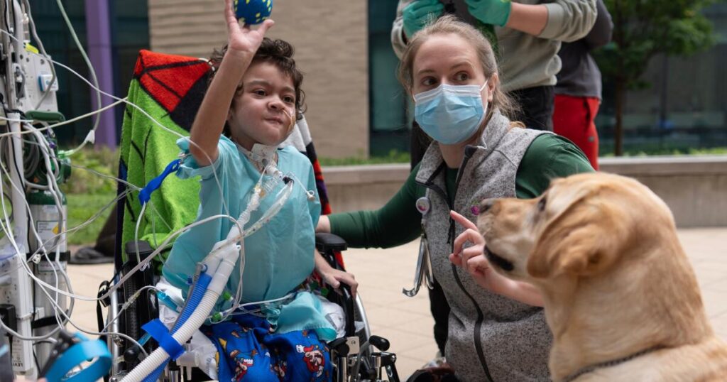 Full-time emotional support dogs are working in more children’s hospitals