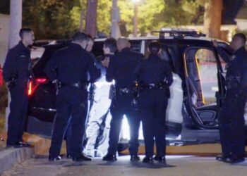 Suspect caught in San Fernando Valley tied to rash of break-ins, South American theft ring, police say