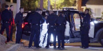 Suspect caught in San Fernando Valley tied to rash of break-ins, South American theft ring, police say