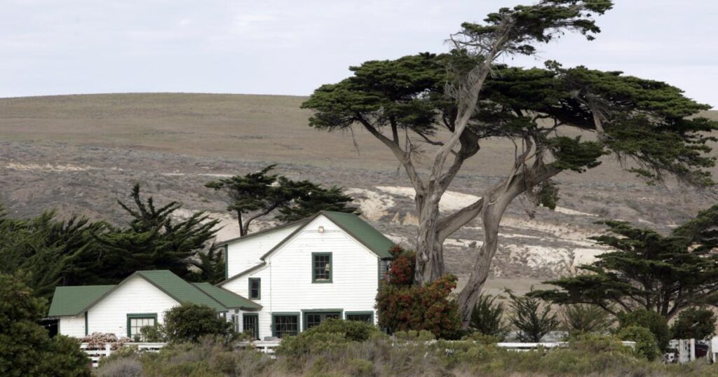 Santa Rosa Island fire burns through rare Torrey pine grove. But there’s hope for the endangered tree