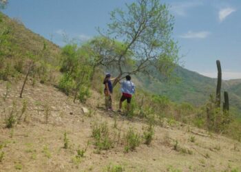 For her first documentary, ‘Our Land,’ Argentina’s Lucrecia Martel chases down a murder