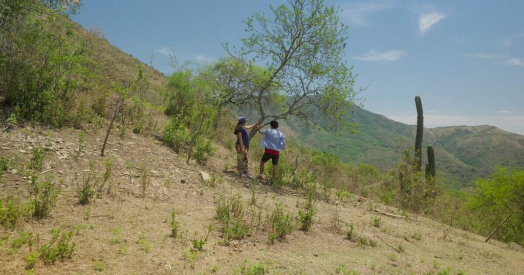 For her first documentary, ‘Our Land,’ Argentina’s Lucrecia Martel chases down a murder