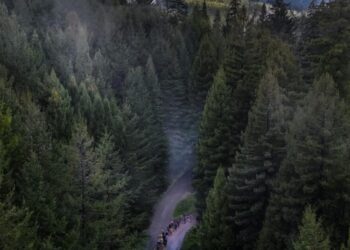 After exile, California tribes could help run their ancestral redwoods again