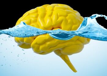 Dirty mind? Study suggests gut movement may flush excess material from our brains