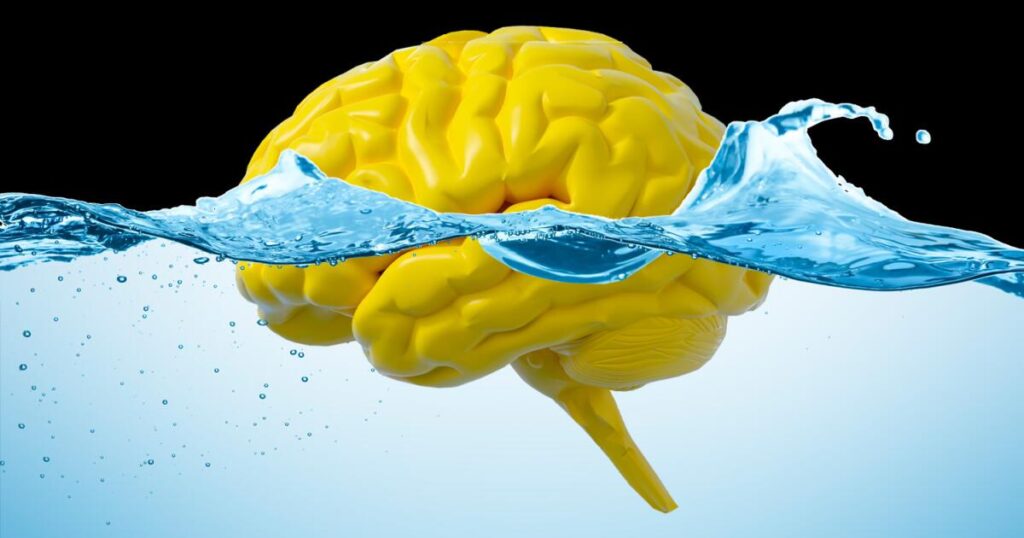Dirty mind? Study suggests gut movement may flush excess material from our brains