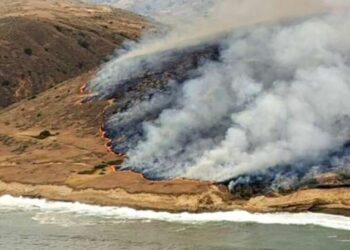 Largest fire ever recorded burns Santa Cruz Island, endangering ‘gem of California coast’