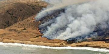 Largest fire ever recorded burns Santa Cruz Island, endangering ‘gem of California coast’