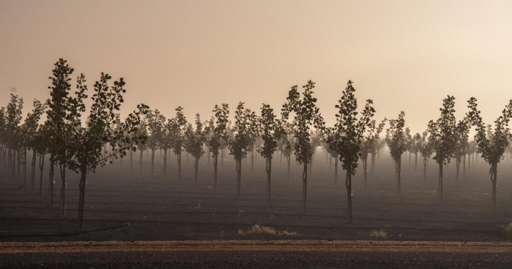 For the first time, California growers have to say how much groundwater they’re taking
