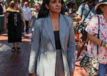 Mayoral candidate Raman unveils rebuilding plan for Pacific Palisades