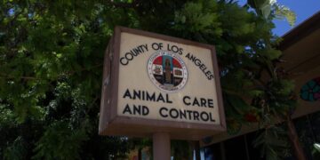 Financial strain puts SoCal humane rescue sanctuaries on the brink, animals at risk
