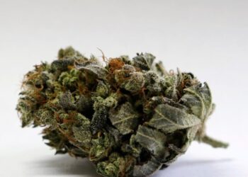 It’s OK to pack medical marijuana on a flight … sometimes. What you need to know