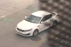 White Kia Optima involved in a series of random shootings.