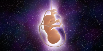 Why Scientists Just Launched Artificial Human Embryos Into Space