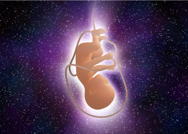 Why Scientists Just Launched Artificial Human Embryos Into Space