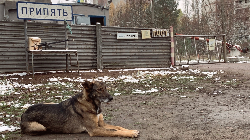 wild-animals-are-thriving-in-chornobyl-40-years-after-the-disaster-and-the-reason-why-is-pretty-depressing