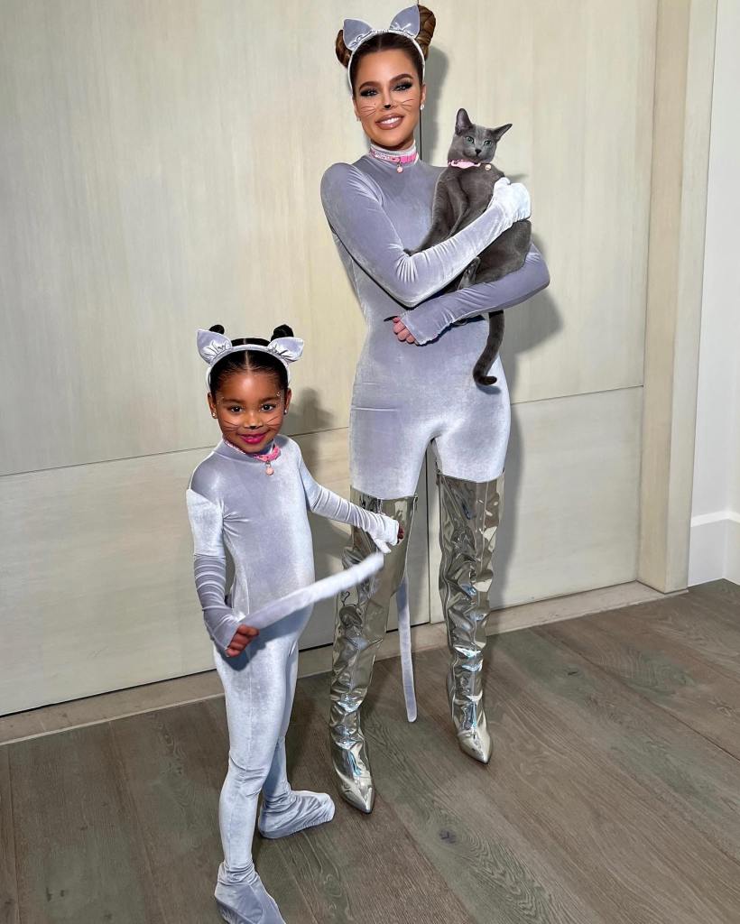 Khloe Kardashian and True dressed in matching grey cat costumes.