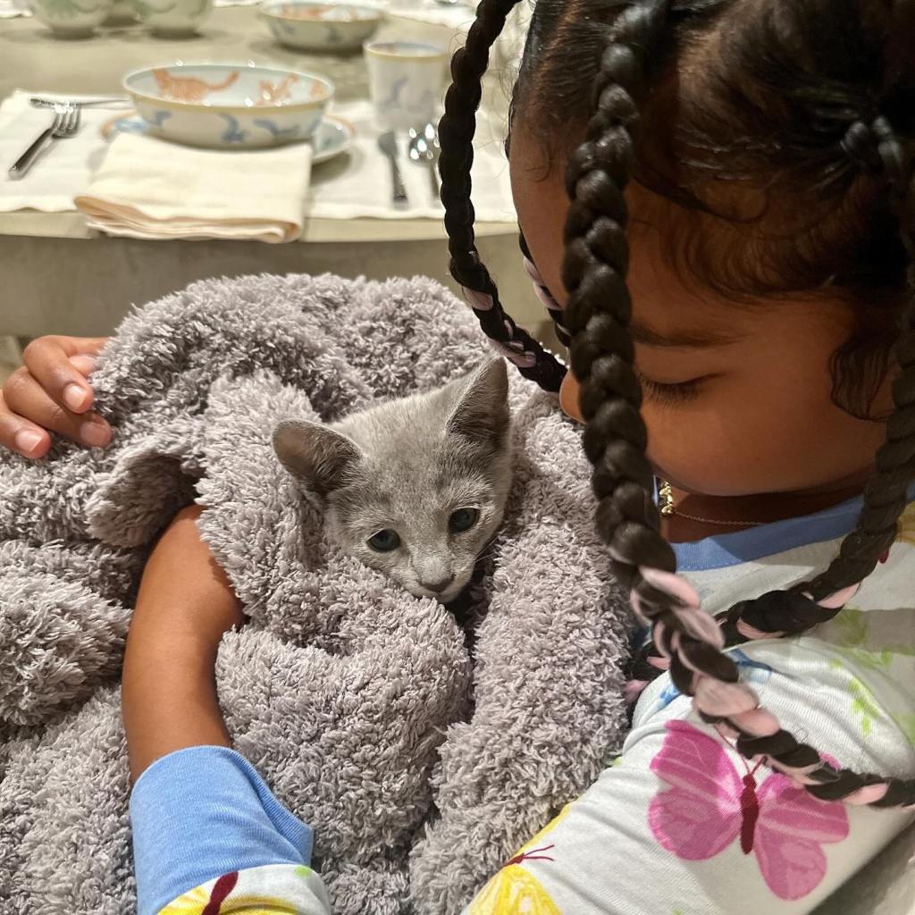 A young girl holding a gray kitten wrapped in a blanket.