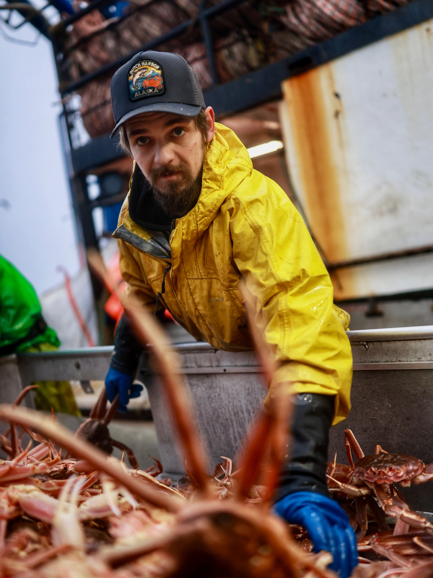 Todd Meadows wearing a yellow raincoat and blue gloves, picking up a crab from a pile on a fishing boat.