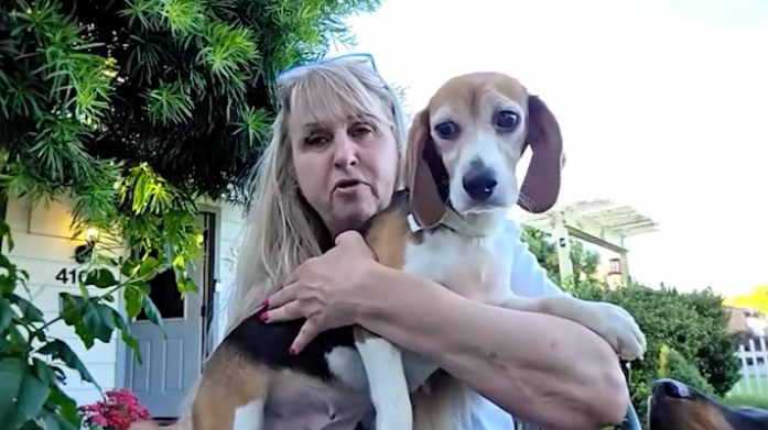 A woman holding a rescued Beagle from Ridglan Farms.