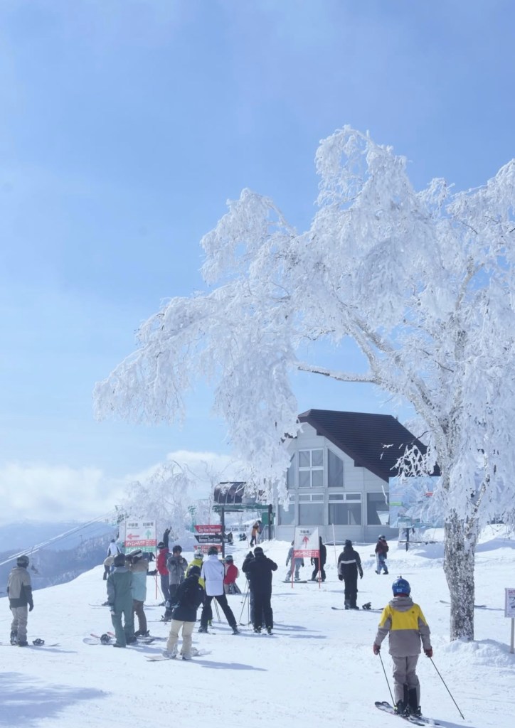 People on skis and snowboards gather on a snowy mountain with frost-covered trees and a modern building, under a clear blue sky.