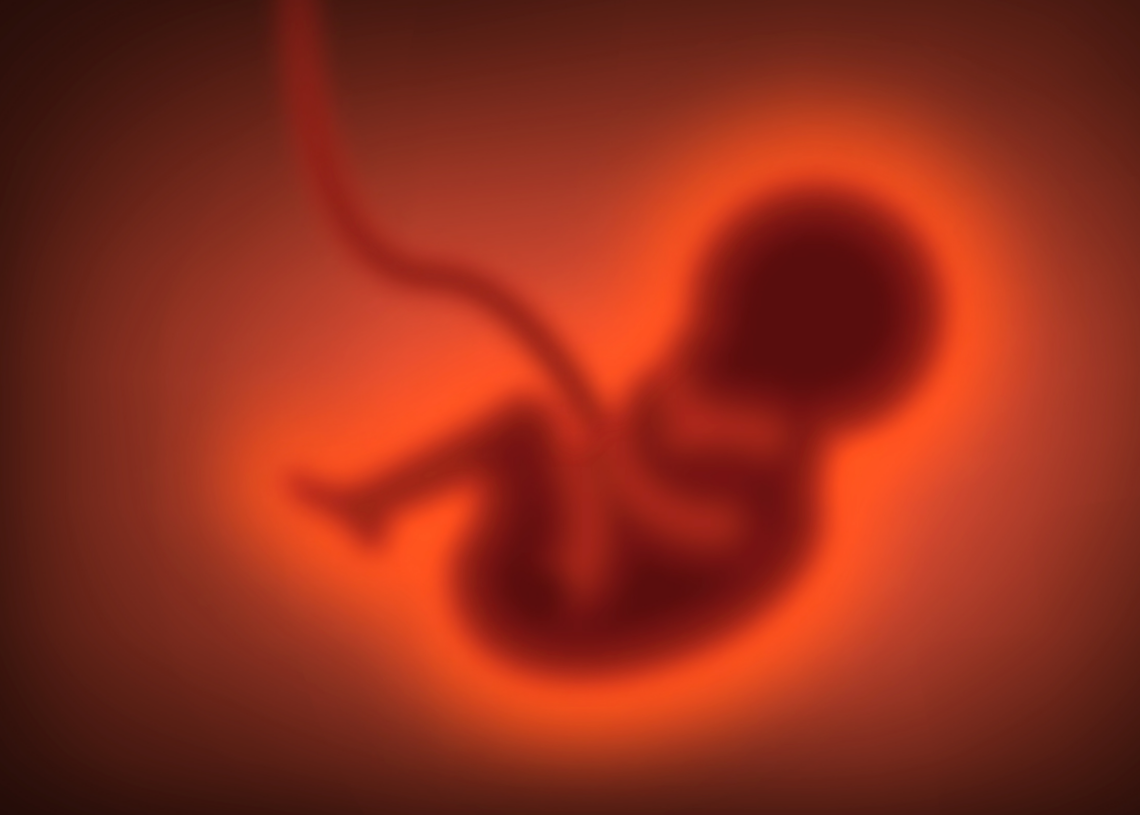 Babies Might Copy Their Mothers Before They’re Even Born