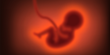 Babies Might Copy Their Mothers Before They’re Even Born