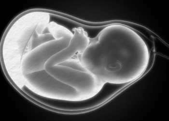 Your Pregnancy Diet May Affect Your Baby in Unexpected Ways, Scientists Say