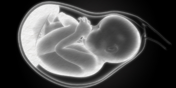Your Pregnancy Diet May Affect Your Baby in Unexpected Ways, Scientists Say