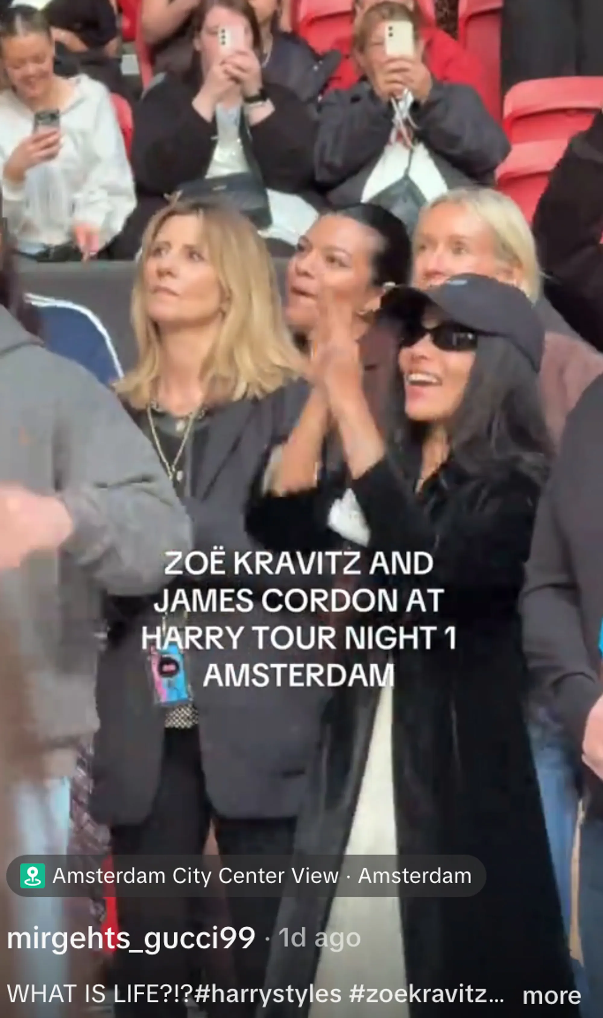 Zoë Kravitz dancing at a concert in Amsterdam.