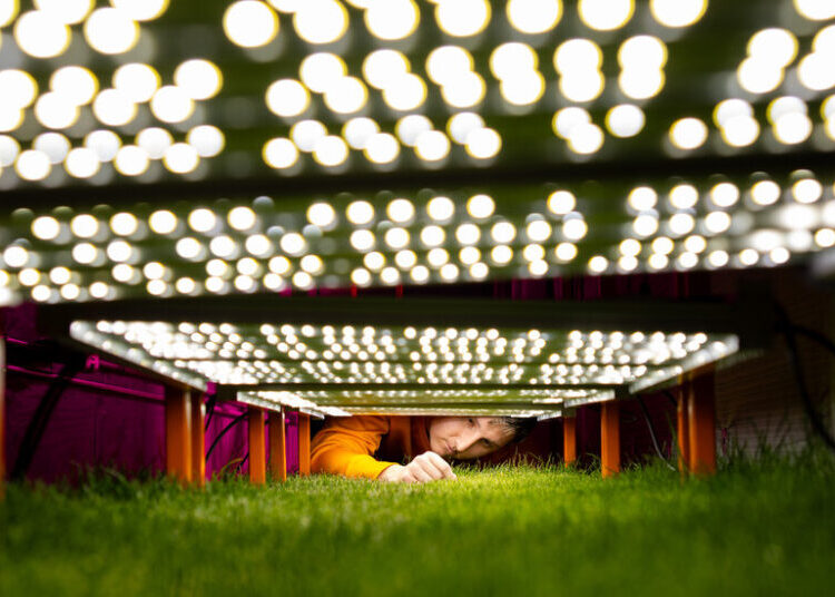The Scientific Quest for a Perfect World Cup Pitch