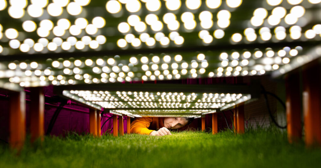 The Scientific Quest for a Perfect World Cup Pitch