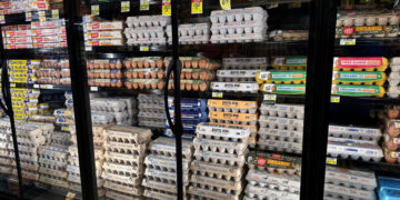Good News: Egg Prices Are Down. Bad News: They’re Hurting Farmers.