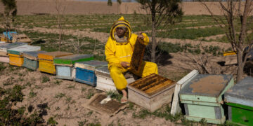 The Women Running Businesses Under Taliban Rules
