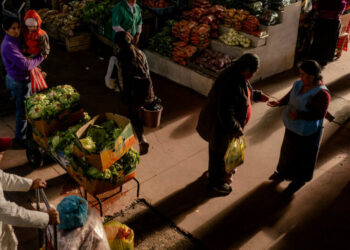 The Sweet Tongue: How Ecuador’s Andes Created a Language of Its Own
