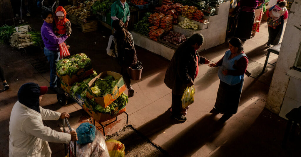 The Sweet Tongue: How Ecuador’s Andes Created a Language of Its Own