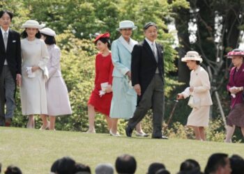 Japan Is Running Out of Royals. Are More Men the Answer?