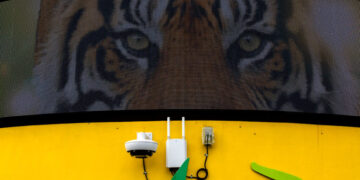 Lions, Tigers and Bomb-Sniffing Dogs: Zoos Face Scores of Swatting Calls