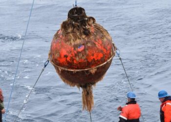 Trump Administration to Dismantle Ocean Monitoring System