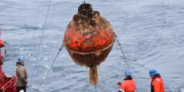 Trump Administration to Dismantle Ocean Monitoring System