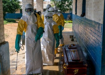 As Ebola Spreads, Scientists Race to Find Vaccines and Treatments