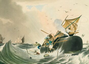 A Tale of Shipwreck and Adventure on the High Seas