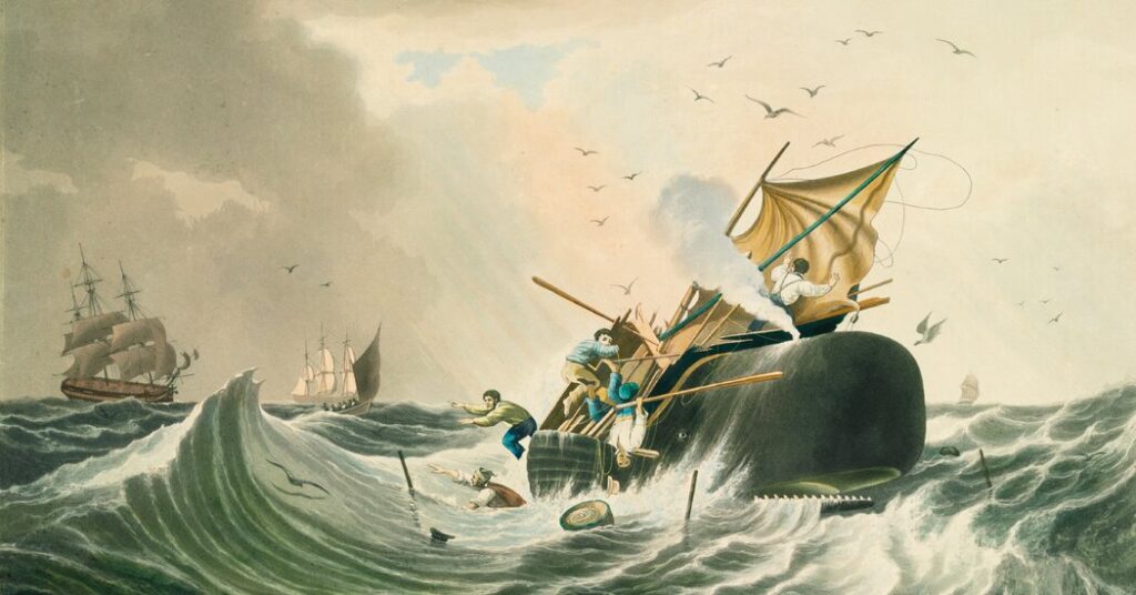 A Tale of Shipwreck and Adventure on the High Seas