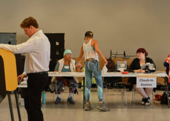 Pacific Palisades Voters Remain Frustrated by Fire Aftermath