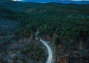 U.S. Forest Service to Open Millions of Acres to Off-Road Vehicles, Memo Shows