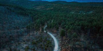 U.S. Forest Service to Open Millions of Acres to Off-Road Vehicles, Memo Shows