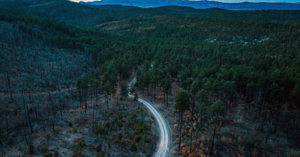 U.S. Forest Service to Open Millions of Acres to Off-Road Vehicles, Memo Shows