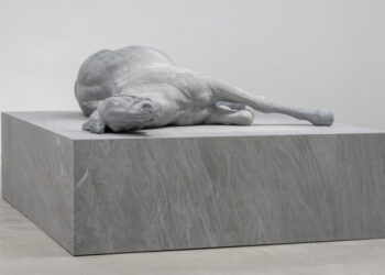 Art Gallery Shows to See in June