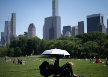Northeast Faces a Surge of Summer Warmth